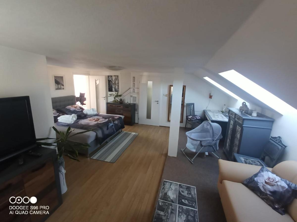 Podkrovni Apartman Tereza Apartment Rumburk Exterior foto