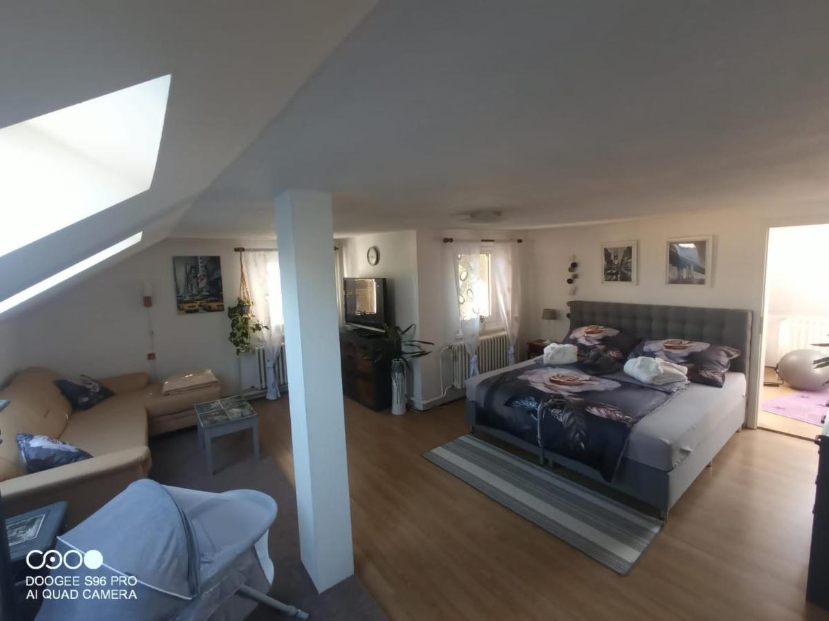 Podkrovni Apartman Tereza Apartment Rumburk Exterior foto