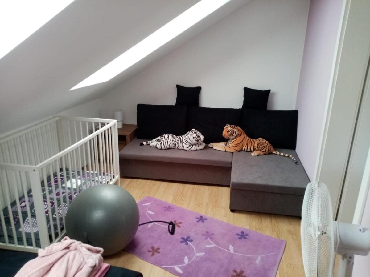 Podkrovni Apartman Tereza Apartment Rumburk Exterior foto