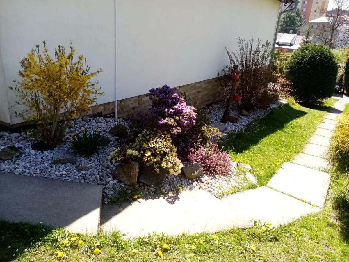 Podkrovni Apartman Tereza Apartment Rumburk Exterior foto